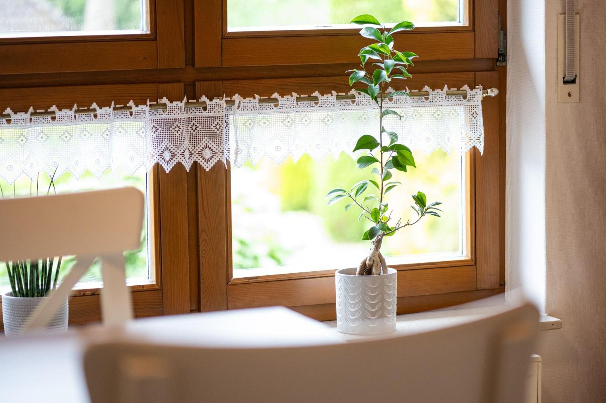 Ferienwohnung Pop S Huus 35226 Holtland Ngoại thất bức ảnh